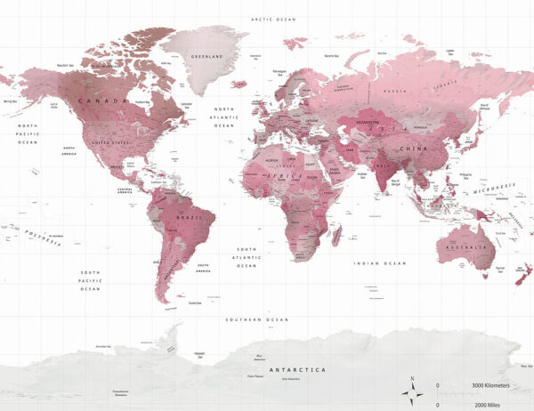 Political map of the world in soft pink colour wall mural