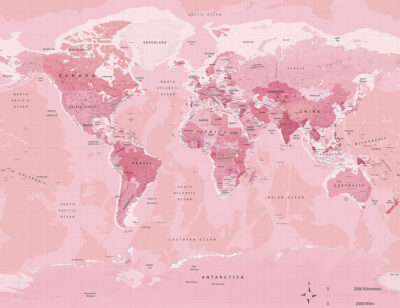 Political map of the world in bright pink colour wall mural