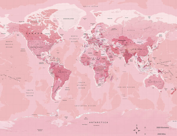 Political map of the world in bright pink colour wall mural