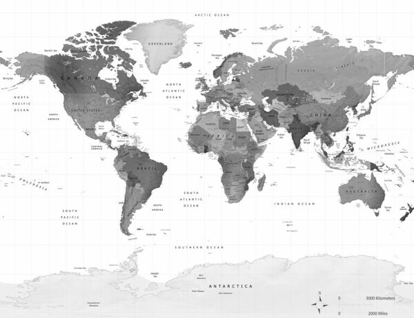 Political map of the world in grey color wall mural