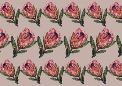 Detailed protea flower patterned wallpaper