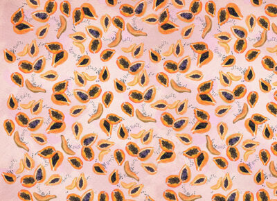 Colourful papaya on the pink background wall mural