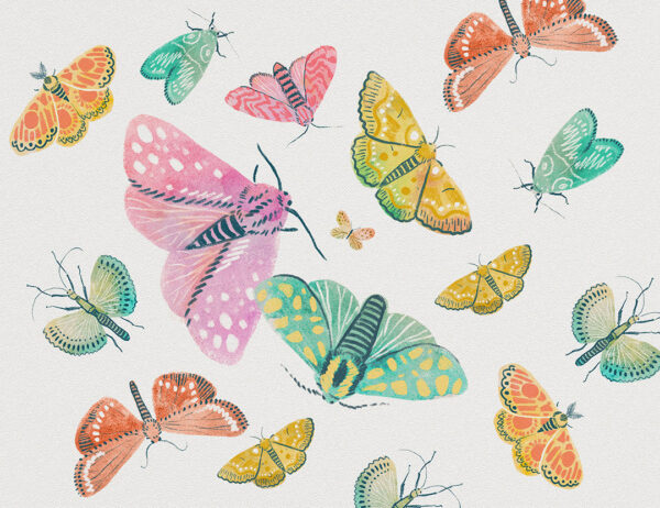 Pink and turquoise oversized butterflies wall mural