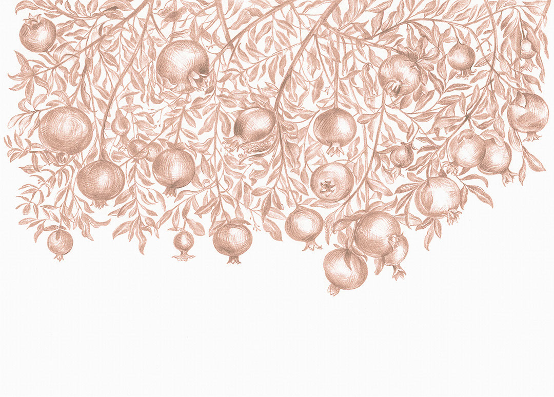 Hand-drawn red pomegranates on the light background wall mural