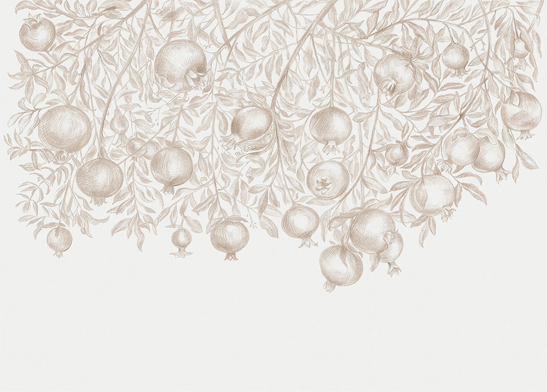 Hand-drawn brown pomegranates on the light background wall mural
