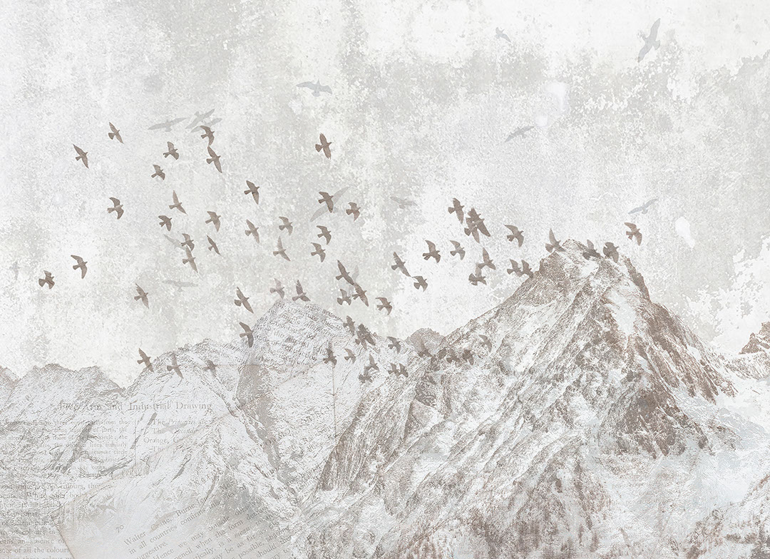 Grey winter mountains with bird flocks wall mural