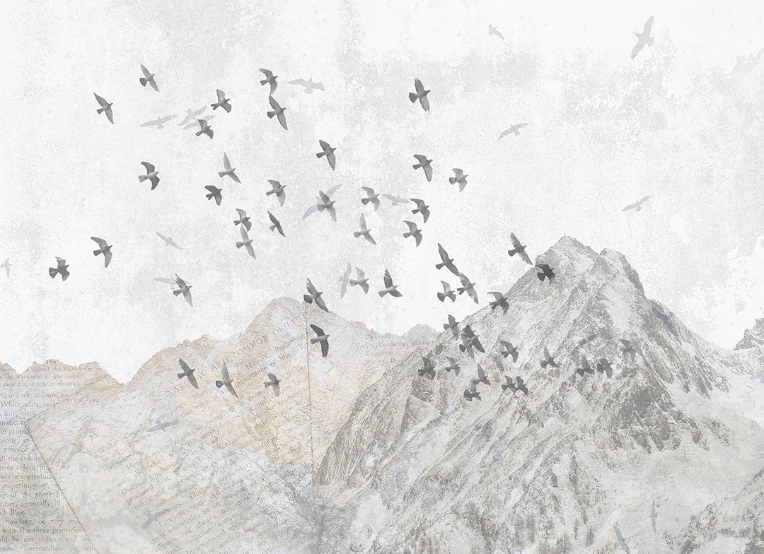 Textured winter mountains with bird flocks wall mural
