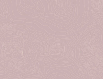 Linear abstract pink forms wall mural