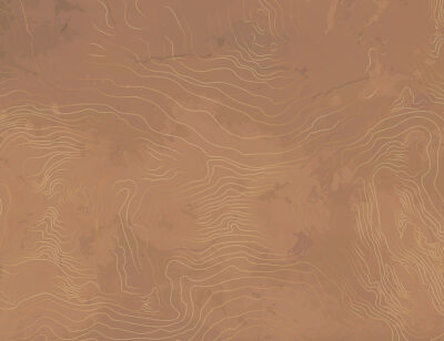 Linear art in the form of caramel tree rings wall mural