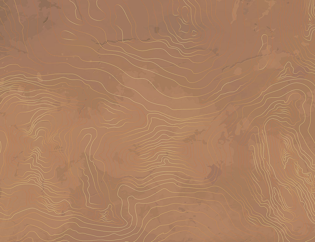 Linear art in the form of caramel tree rings wall mural