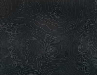 Silver linear art in the form of dark tree rings wall mural