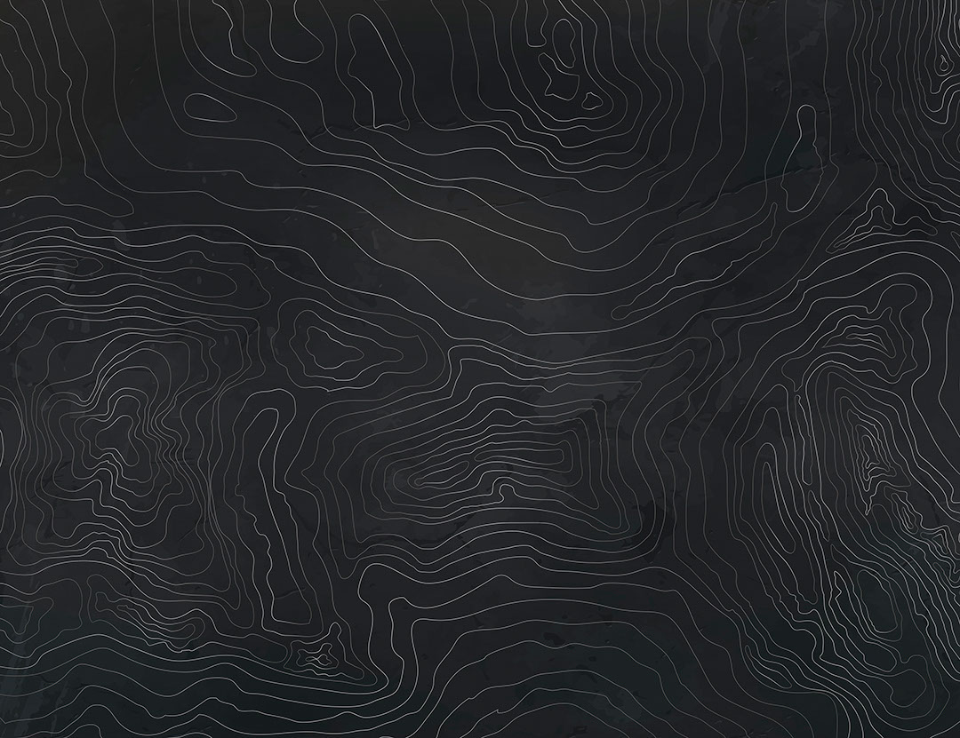 Silver linear art in the form of dark tree rings wall mural
