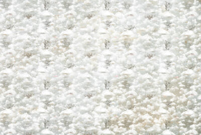 Cupids among the clouds patterned wallpaper