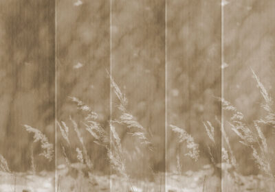 Delicate spikelets and textured panels beige wall mural