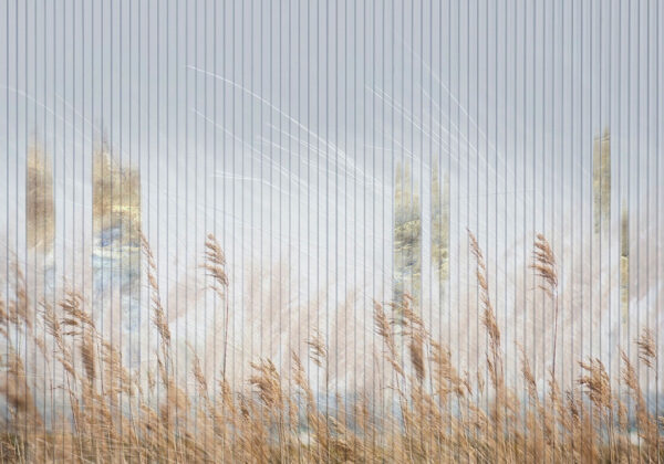 Golden wheat field behind panels wall mural