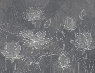 Delicate water lilies on graphite background wall mural