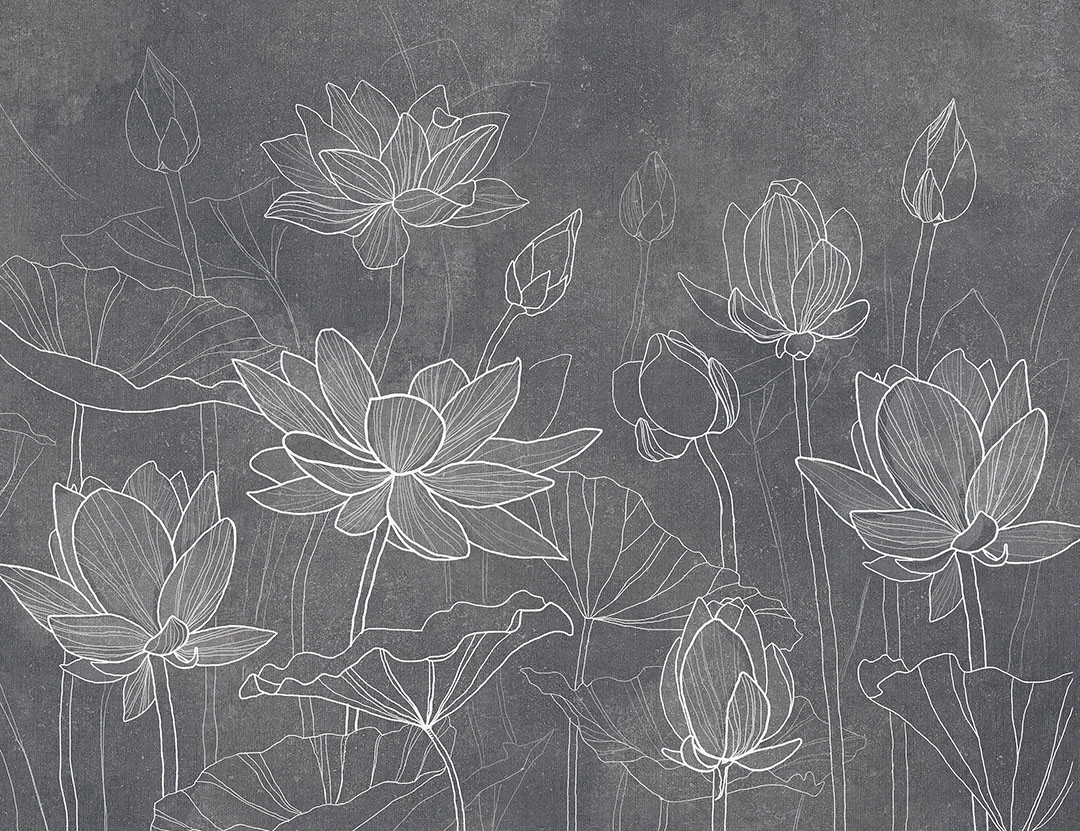 Delicate water lilies on graphite background wall mural