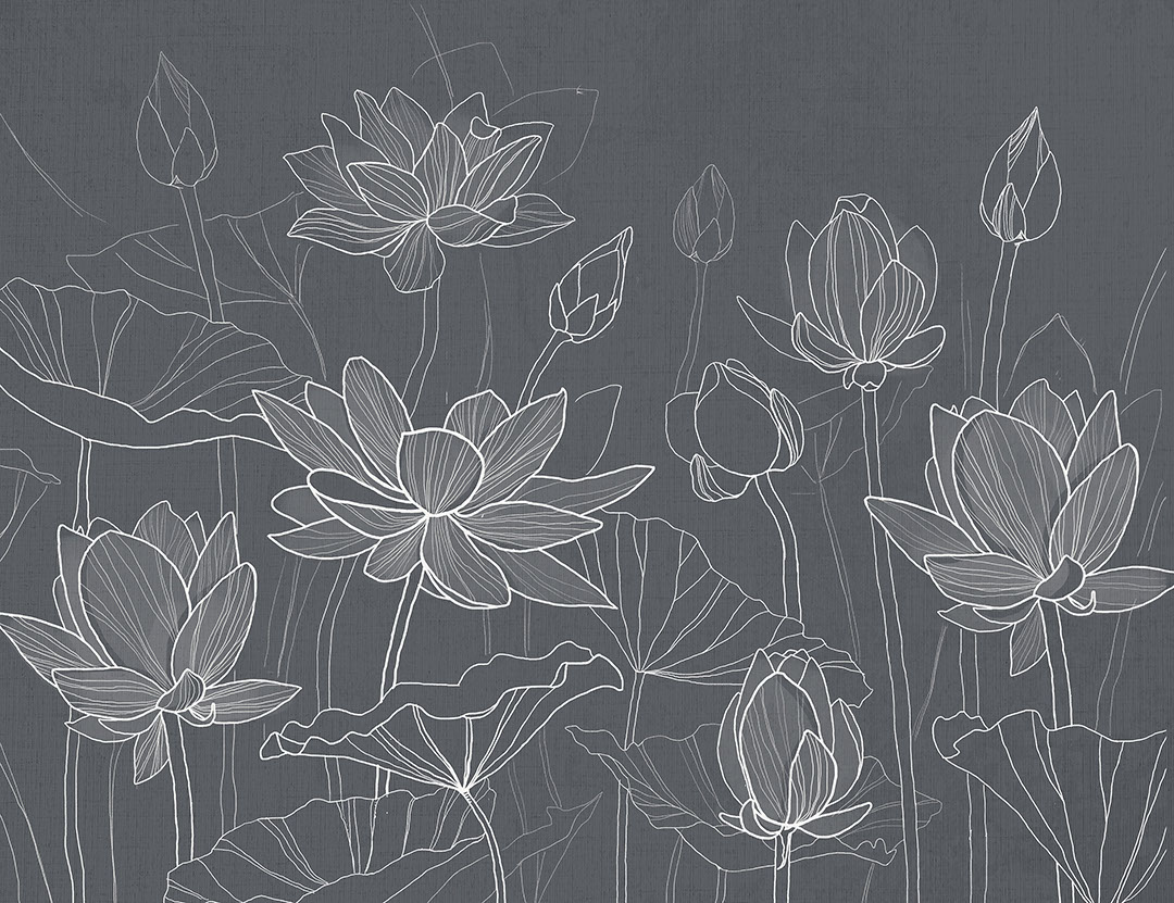 Minimalistic water lotuses on the grey background wall mural