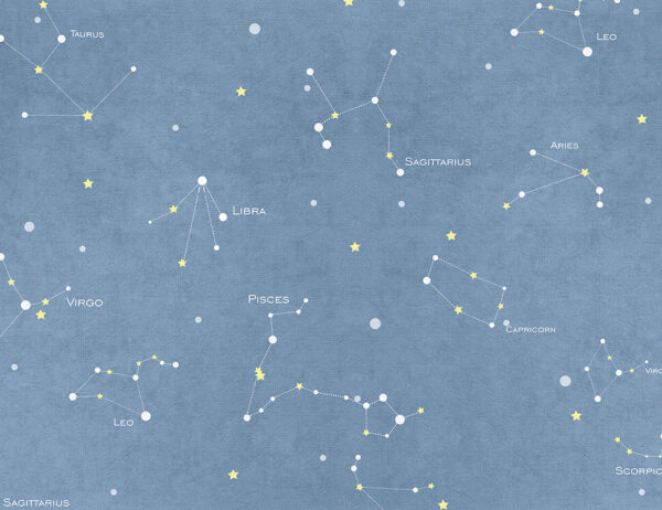 Minimalist starry blue sky map wall mural