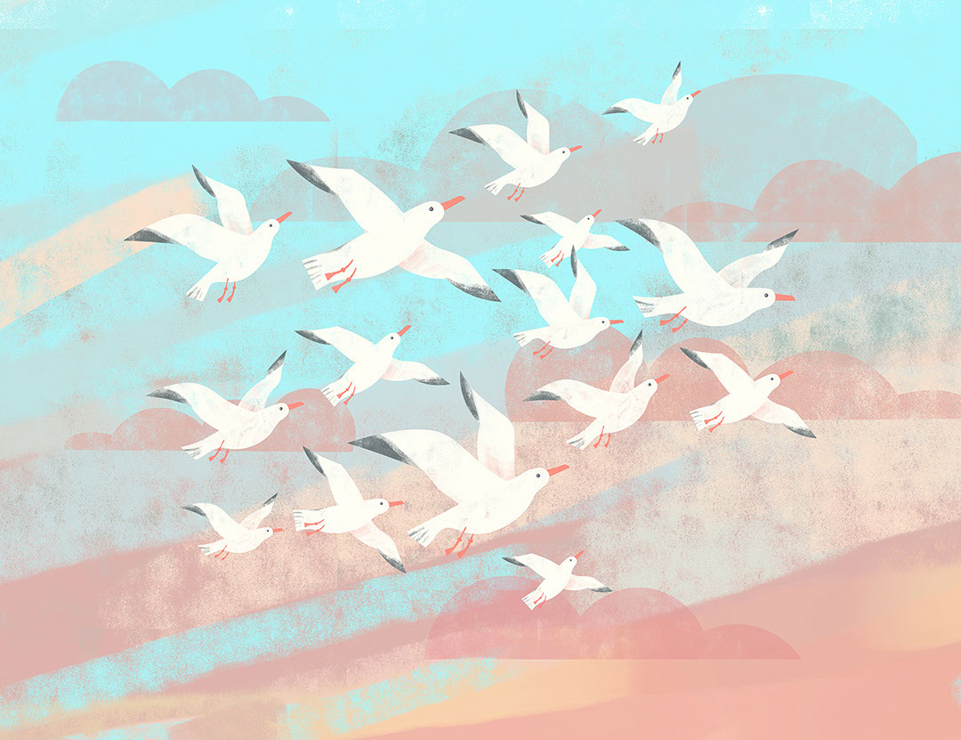 Flock of seagulls in the cloudy sky wall mural