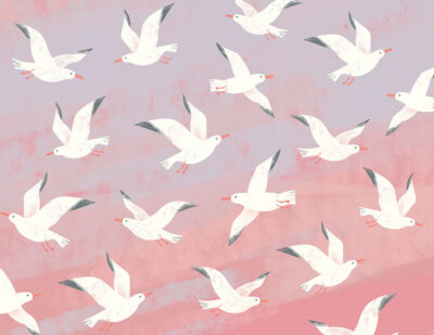 Flock of seagulls in pink sky wall mural