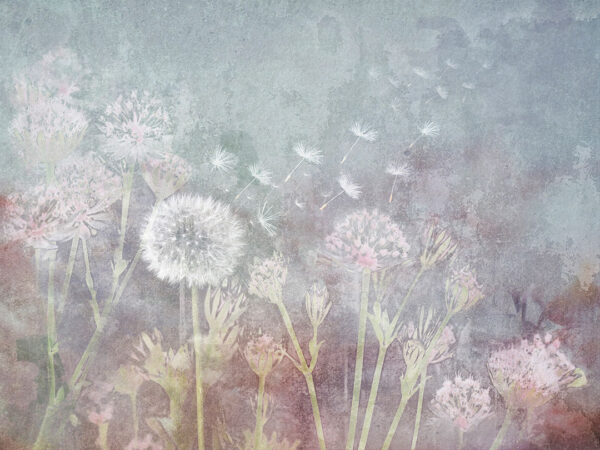 Delicate dandelion flowers wall mural