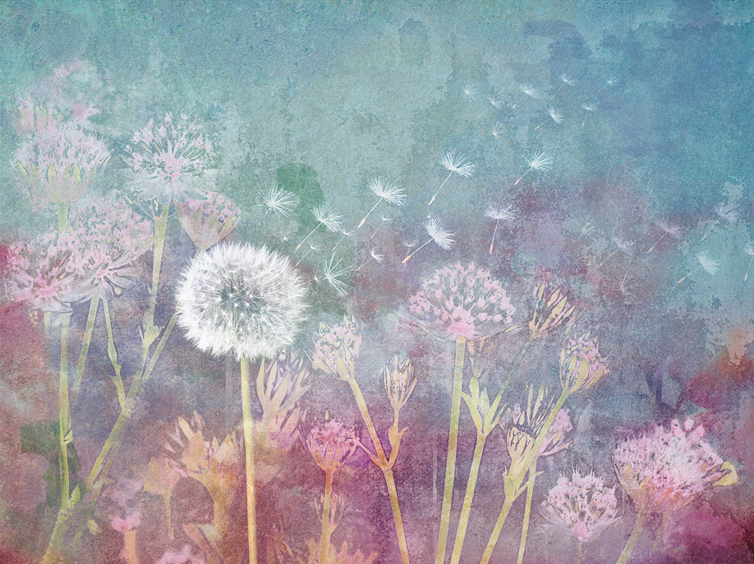 Delicate dandelion flowers on bright watercolor background wall mural
