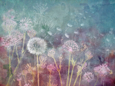 Delicate dandelions and graphic flowers wall mural