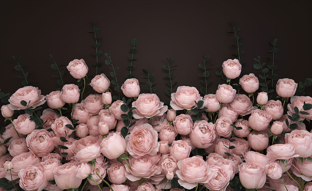 Delicate rose flowers on the dark chocolate background 3D wall mural