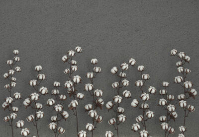 Cotton flowers on the graphite textured background 3D wall mural