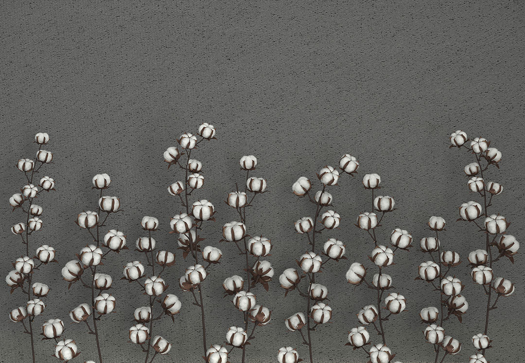 Cotton flowers on the graphite textured background 3D wall mural