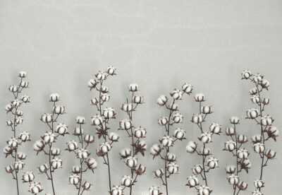 Cotton flowers on the grey textured background 3D wall mural