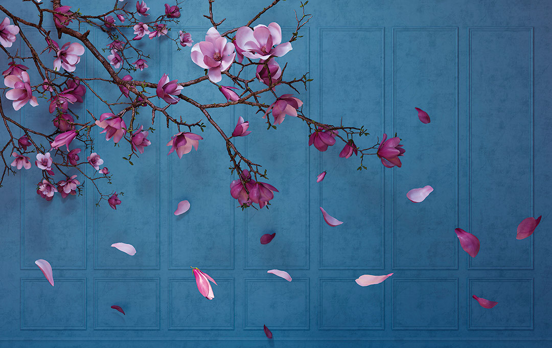 Purple cherry blossoms 3D wall mural with indigo wall panels