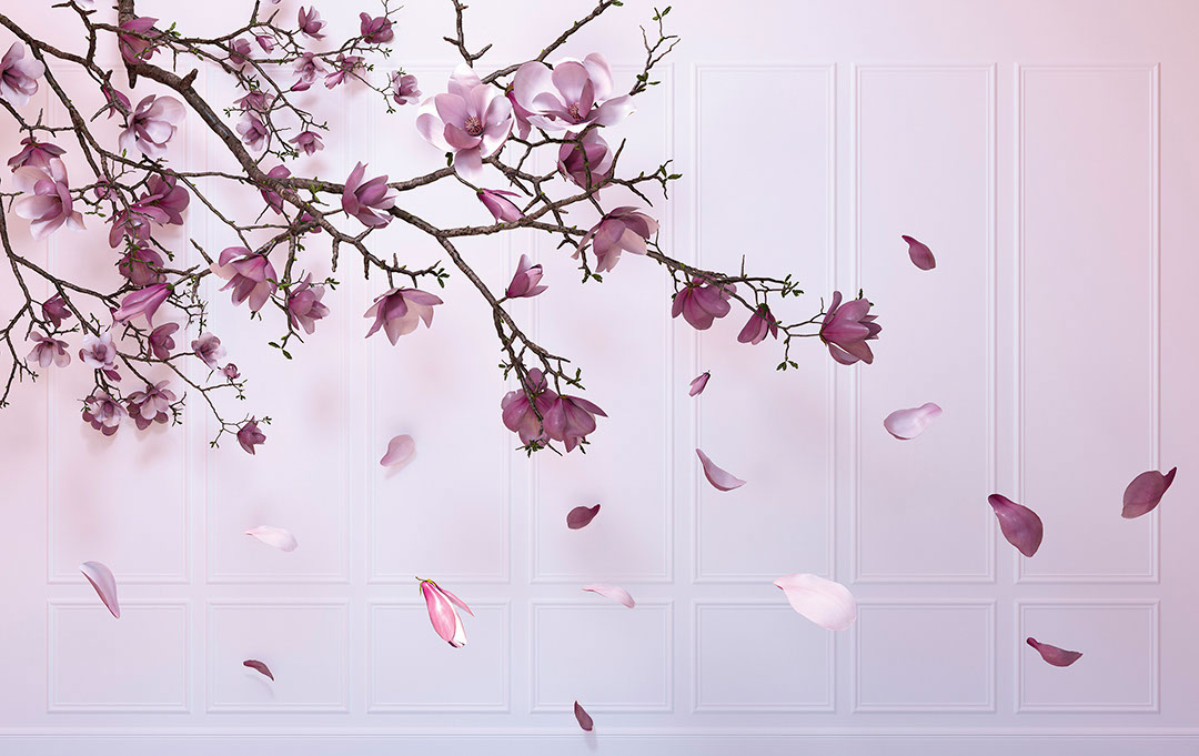 Purple cherry blossoms 3D wall mural with milk wall panels