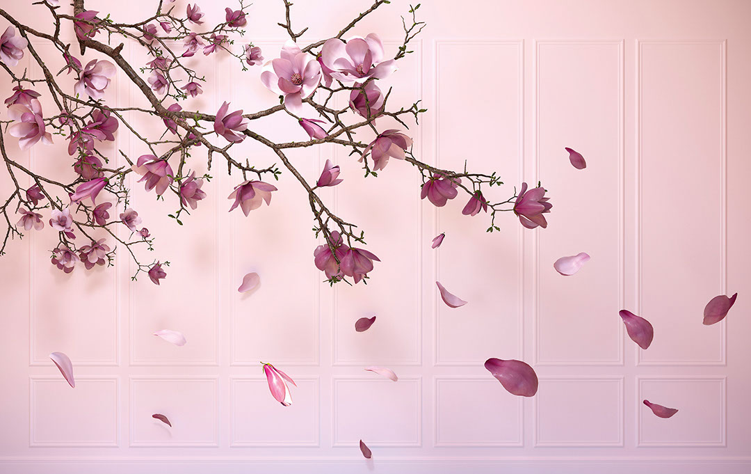 Purple cherry blossoms 3D wall mural with pink wall panels