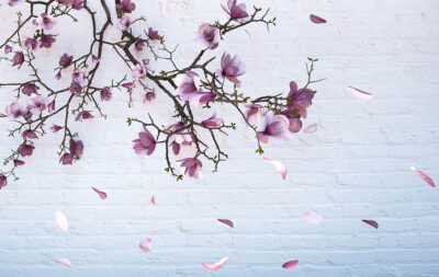 Sakura branches on the brick background 3D wall mural