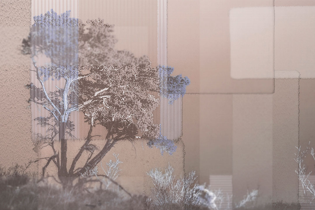 Collage of African trees and geometric shapes wall mural in beige and blue tones