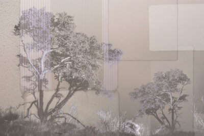 Collage of African trees and geometric shapes wall mural in grey tones