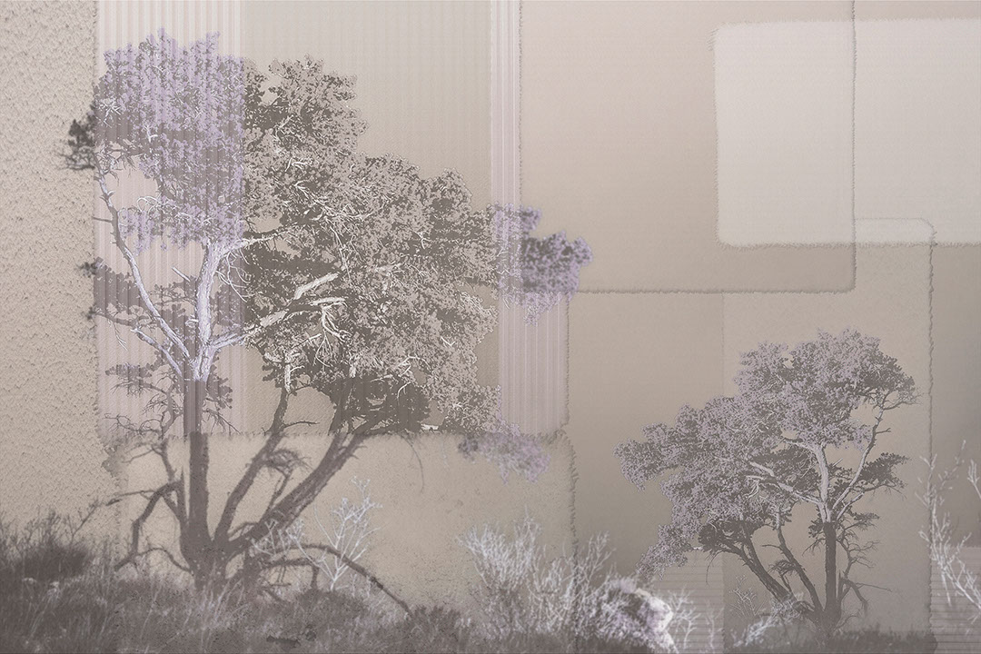 Collage of African trees and geometric shapes wall mural in grey tones