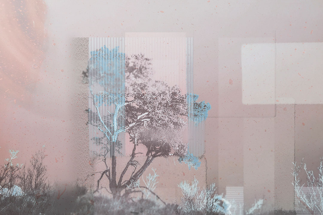 Collage of trees and geometric shapes wall mural in bright tones