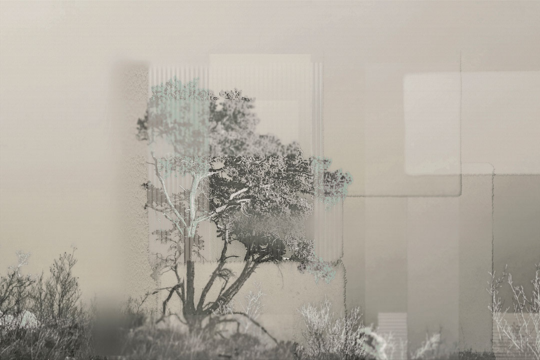Collage of trees and geometric shapes wall mural in black and white