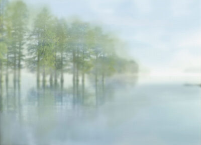 Blurred outlines of the forest above the lake wall mural