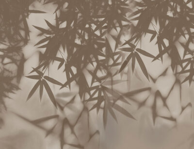 Palm leaves in the shade wall mural