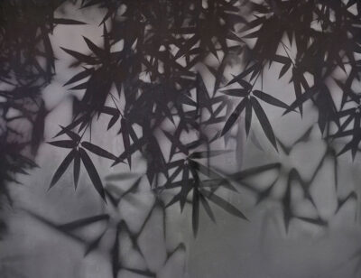 Dark palm leaves wall mural