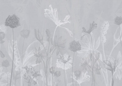 Delicate outlines of flowers on a grey background wall mural