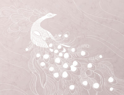 White peacock bird on the pink background wall mural