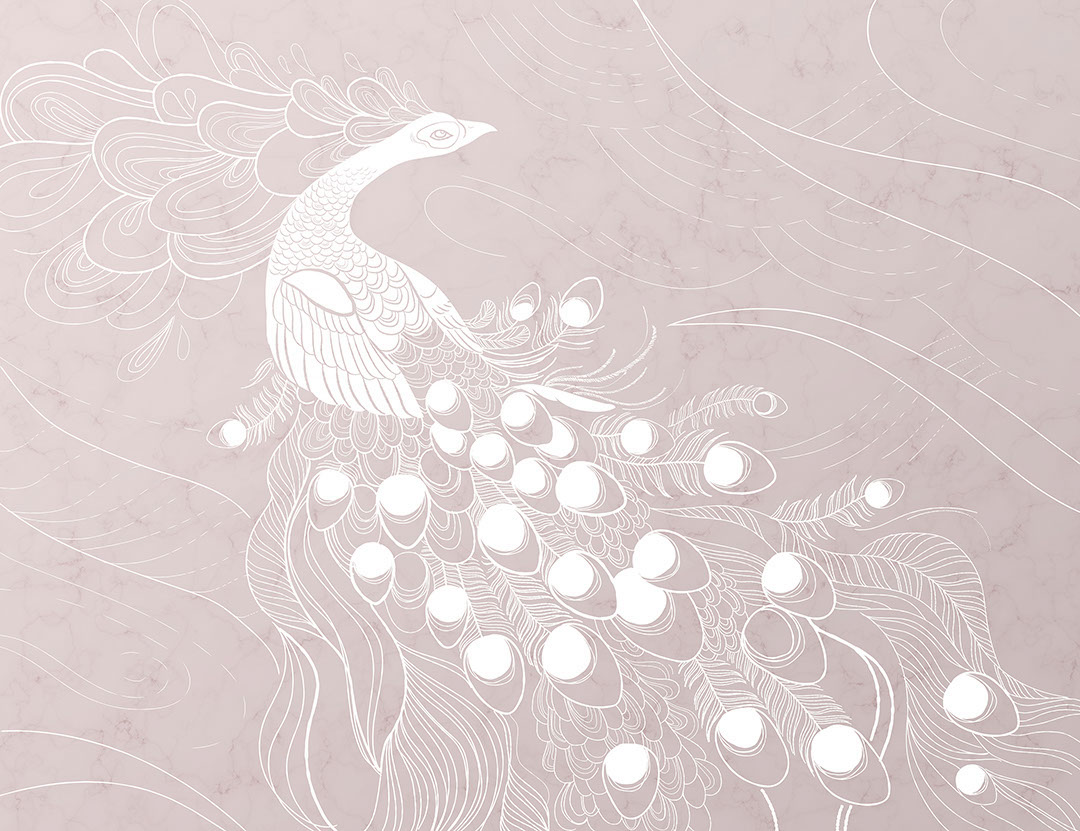 White peacock bird on the pink background wall mural