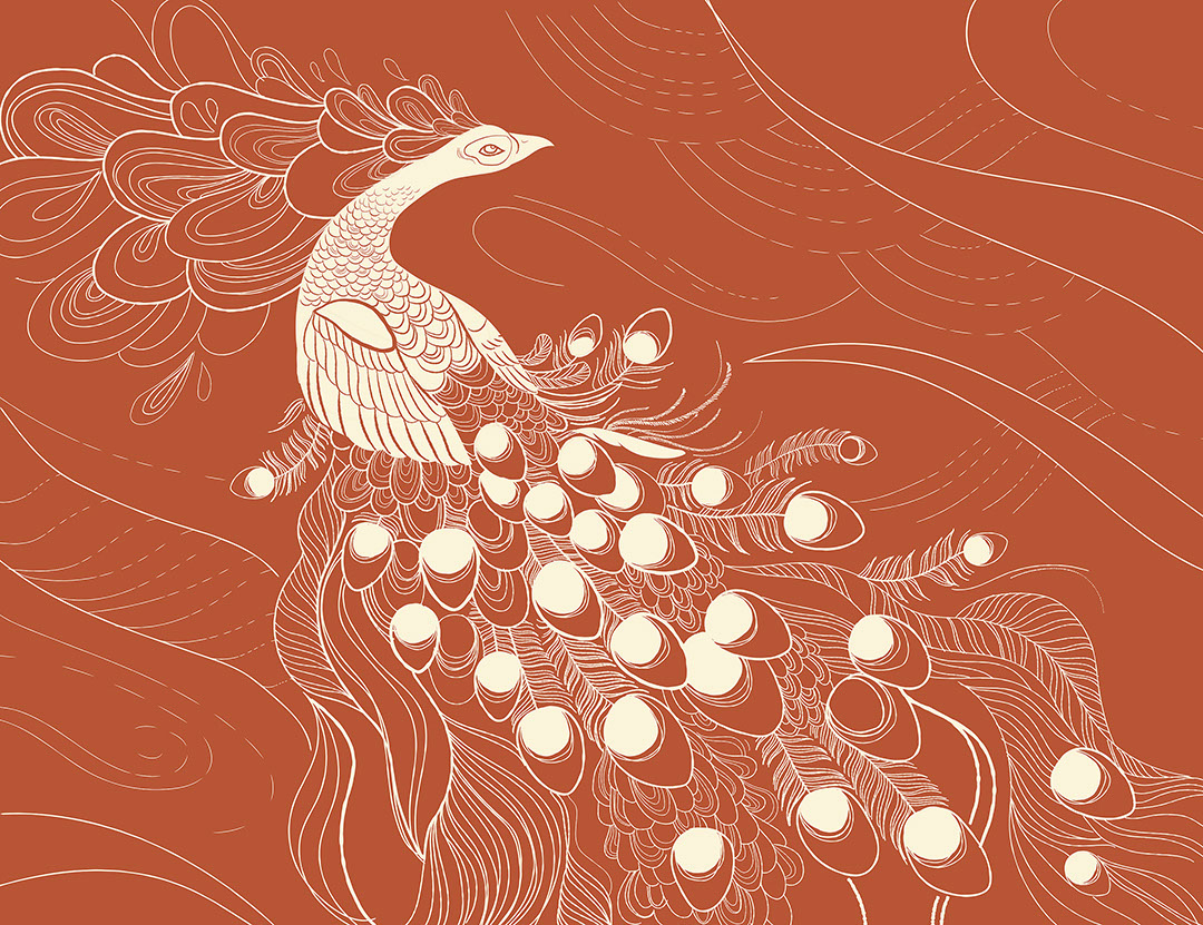 White peacock bird on the red background wall mural