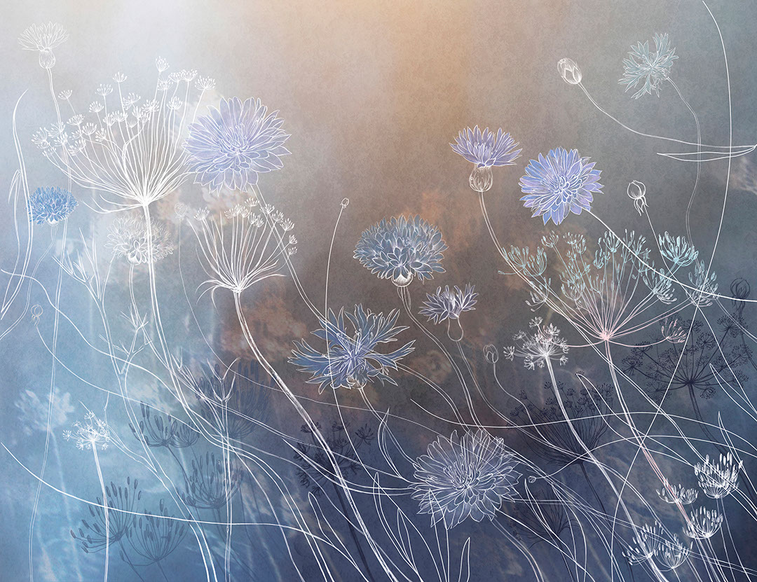 Watercolour wildflowers wall mural on the dark background