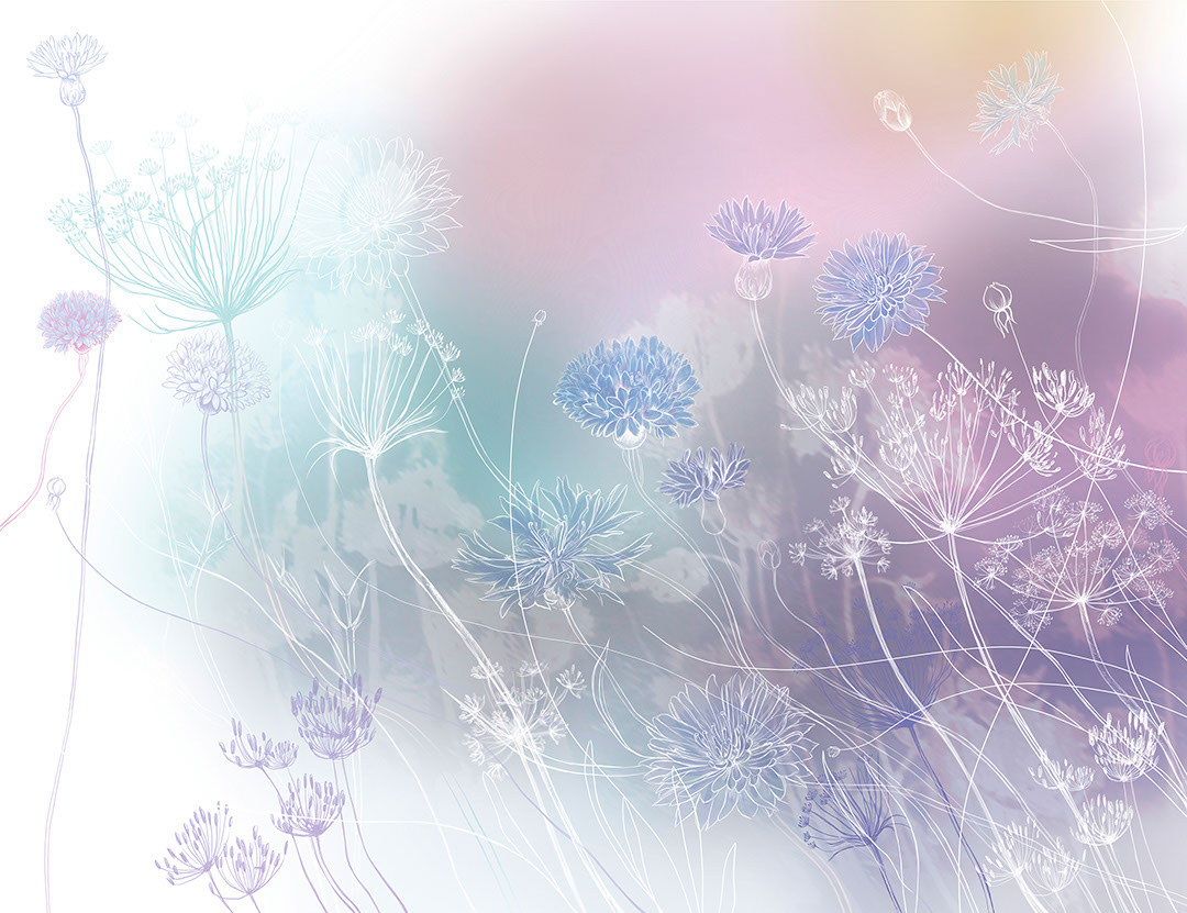 Watercolour wildflowers wall mural on the bright background